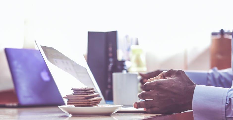 Курсы программирования и веб-дизайна